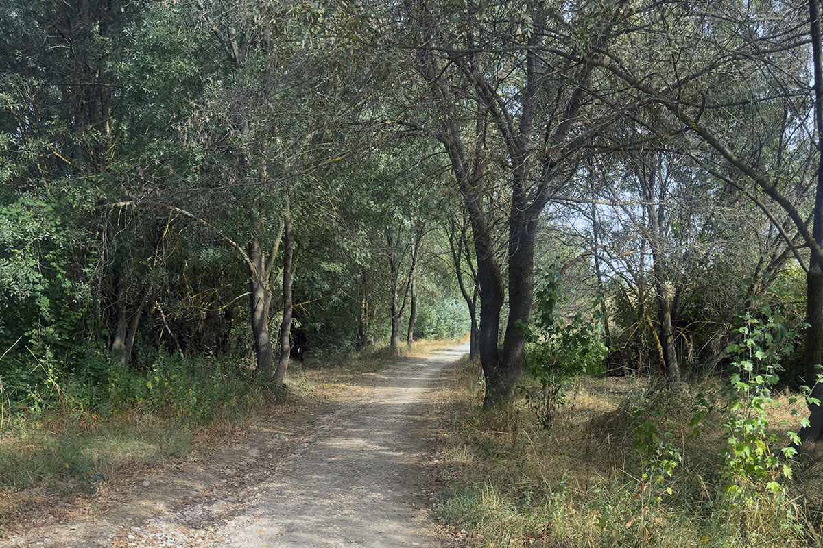 Ejercicio suave adaptado a personas con fatiga cronica